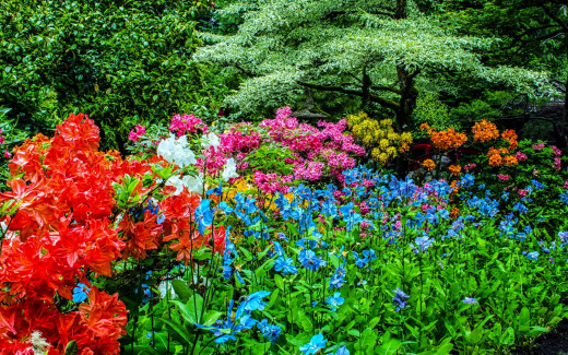 1134868 (a): :2560x1600